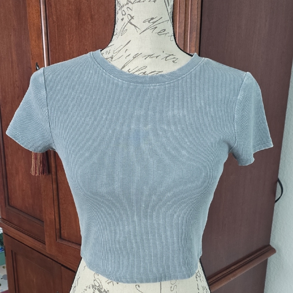 Zine Clothing Blue Ribbed Fitted Short Sleeve Tee